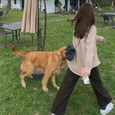 艾比