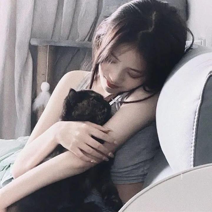 猪皮天堂